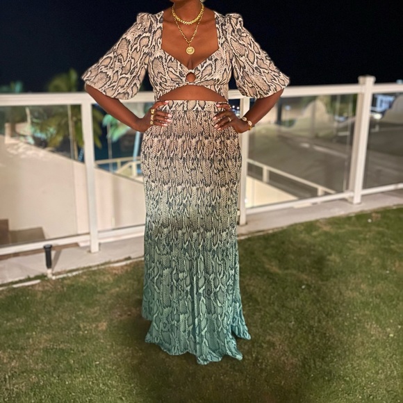 COPY - AFRM Rocco Ombré Snake Print Maxi Skirt - Picture 5 of 5